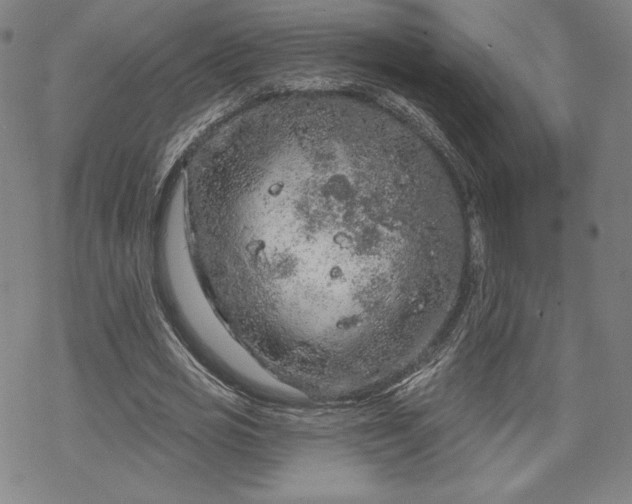 X0000070180725200606021031