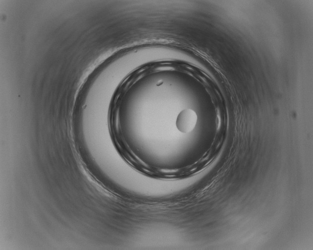 X0000070180726200606021032