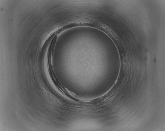 X0000070180727200606021032