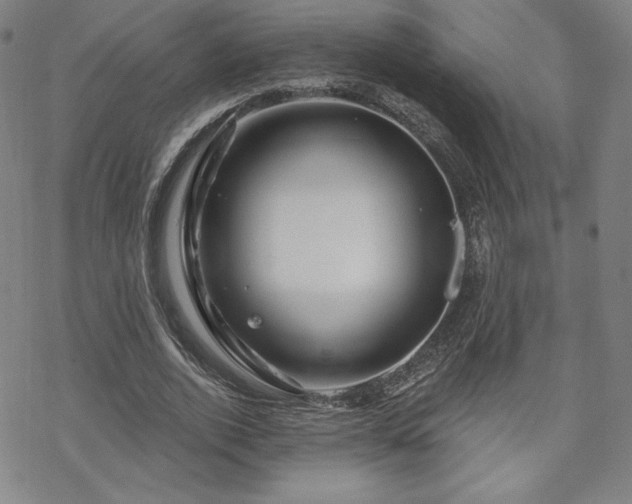 X0000070180728200606021032