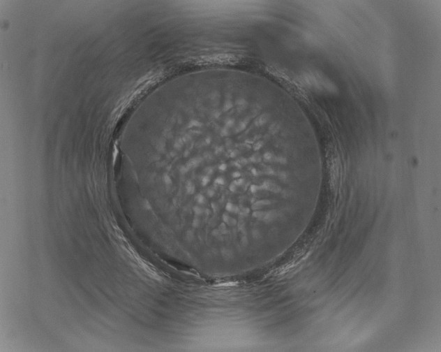 X0000070180729200606021032