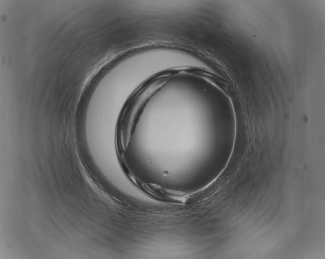 X0000070180730200606021032