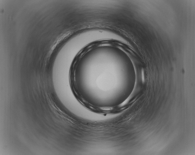 X0000070180731200606021032