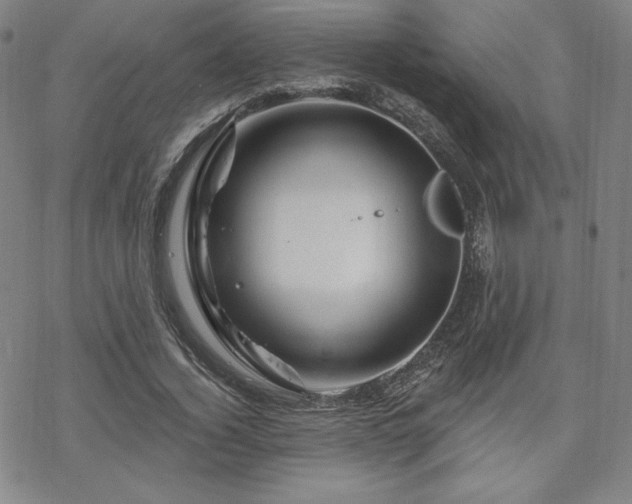 X0000070180732200606021032