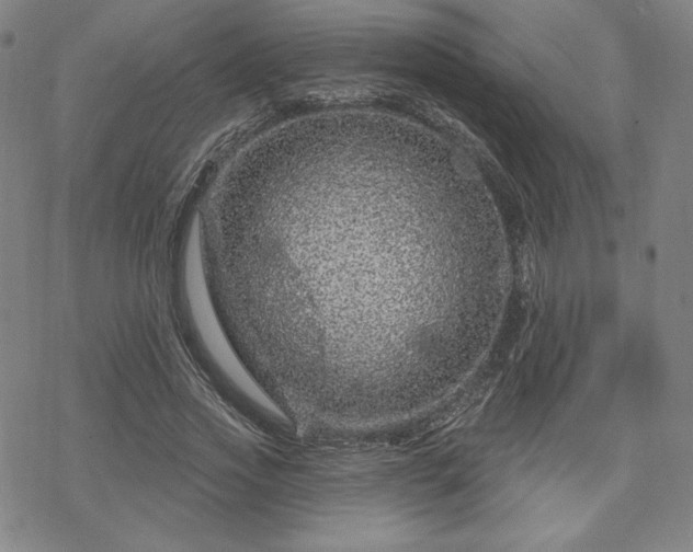 X0000070180733200606021032