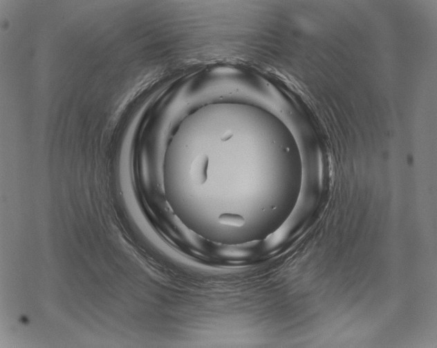 X0000070180735200606021032