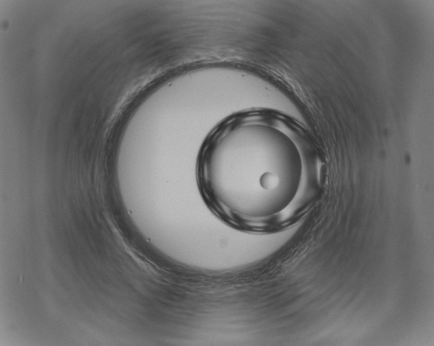 X0000070180736200606021032