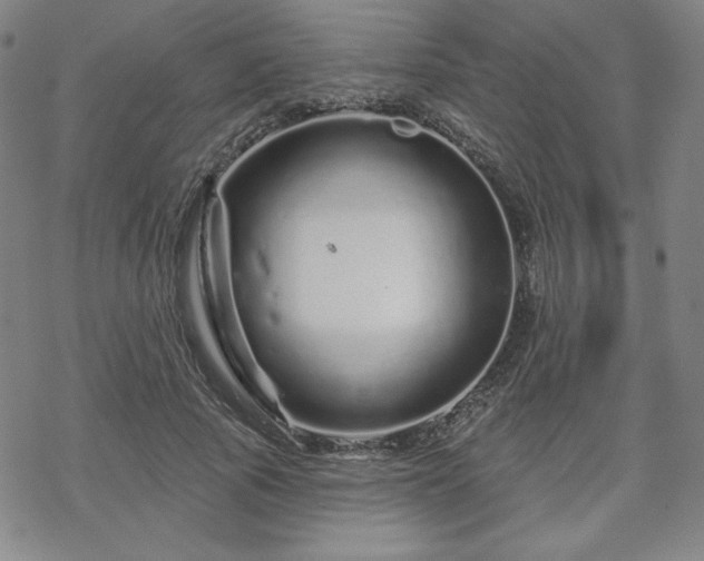 X0000070180737200606021032