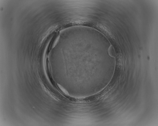 X0000070180738200606021032