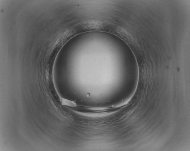 X0000070180739200606021032