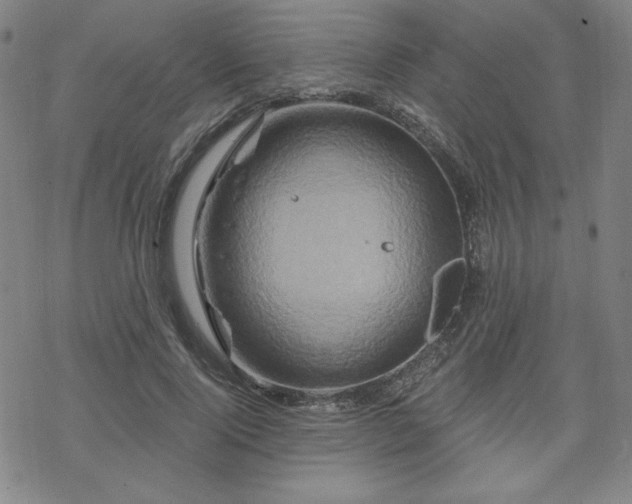 X0000070180740200606021032