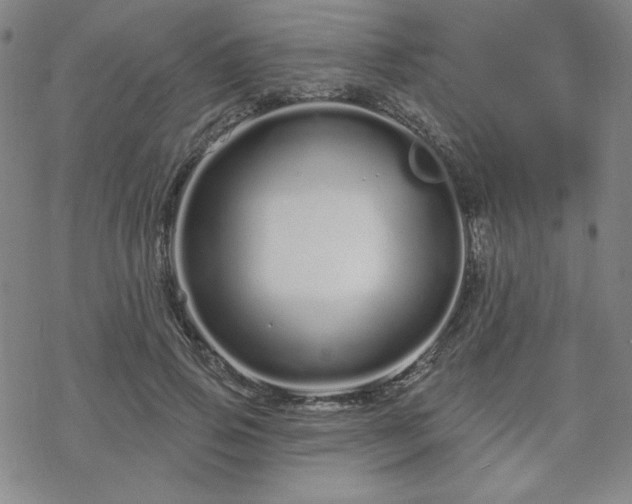 X0000070180741200606021032