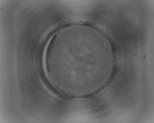 X0000070180742200606021032