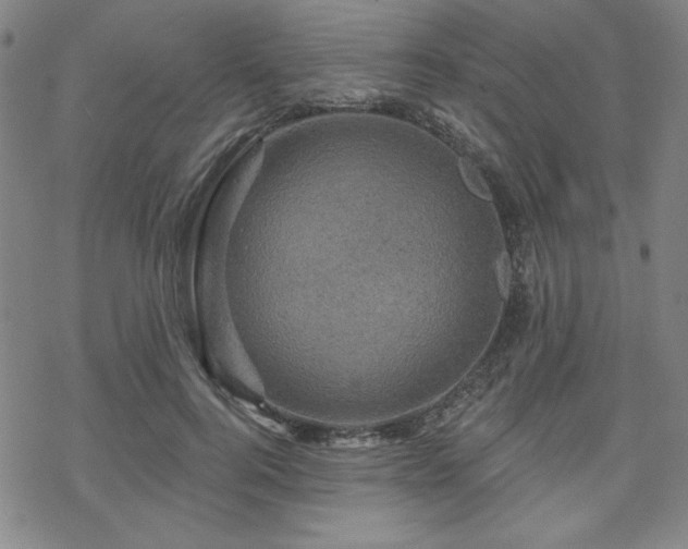 X0000070180744200606021032