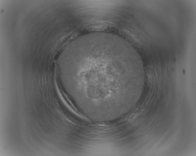 X0000070180745200606021032