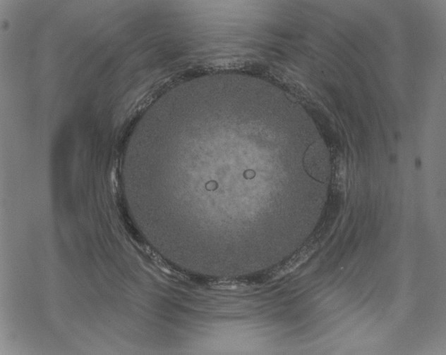 X0000070180746200606021032