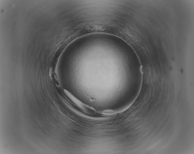 X0000070180747200606021032