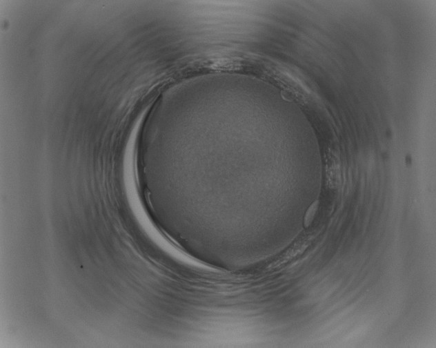 X0000070180748200606021032