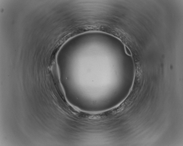 X0000070180749200606021032