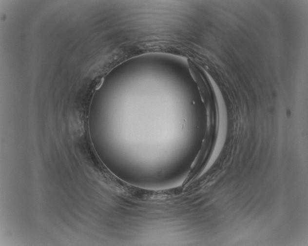 X0000070180751200606021032