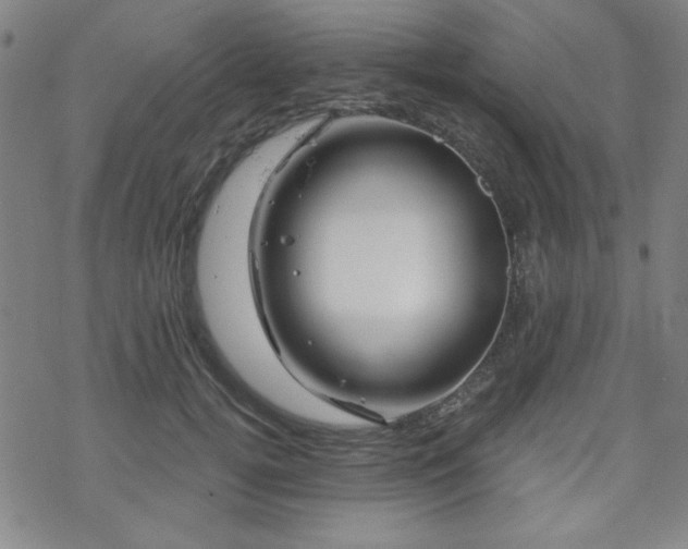 X0000070180752200606021032