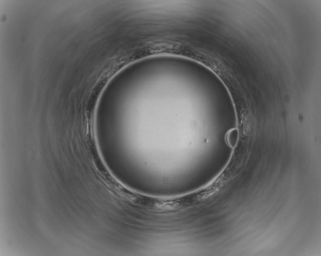 X0000070180753200606021032