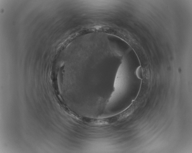 X0000070180754200606021032