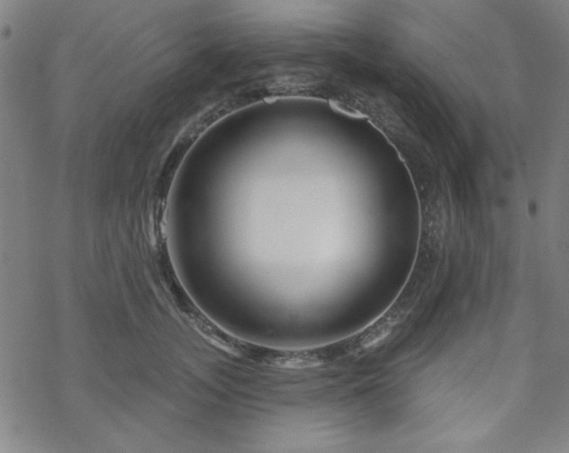 X0000070180755200606021032