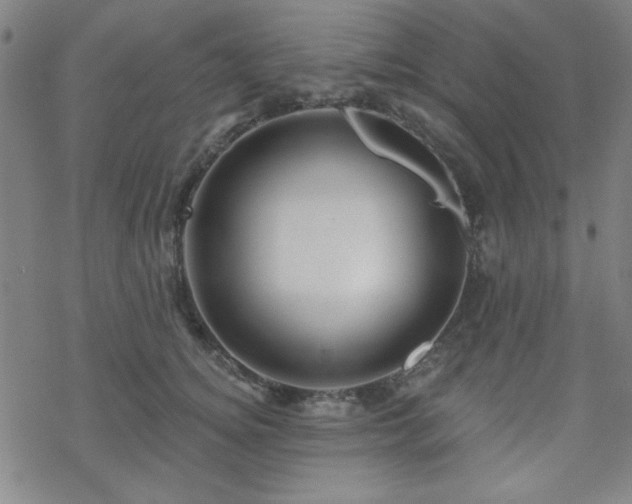 X0000070180756200606021032