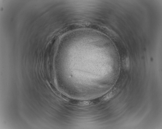 X0000070180757200606021032