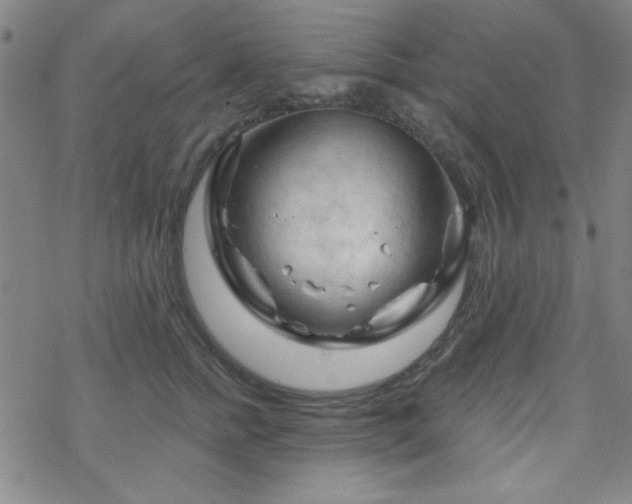 X0000070180758200606021032