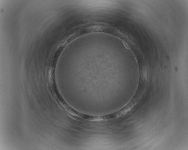 X0000070180759200606021032