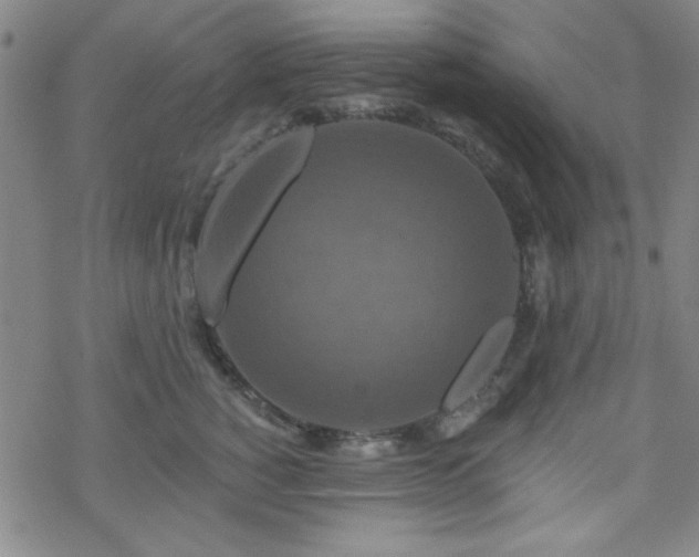 X0000070180760200606021032