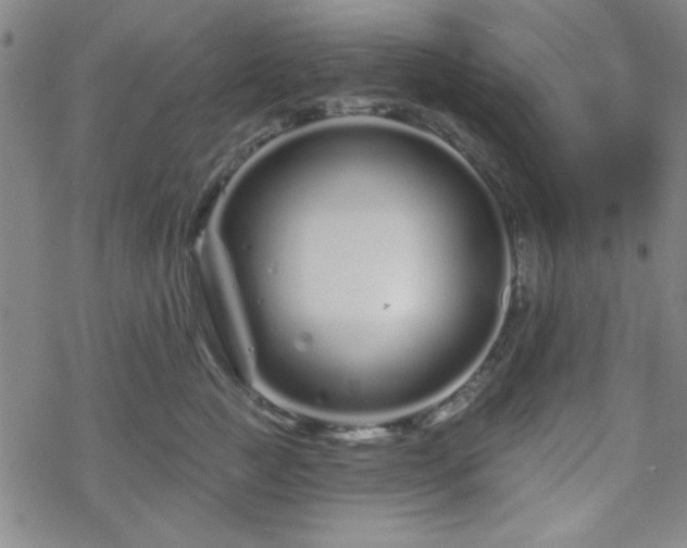 X0000070180761200606021032