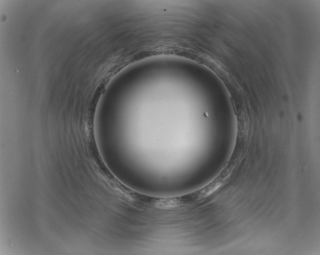 X0000070180762200606021032