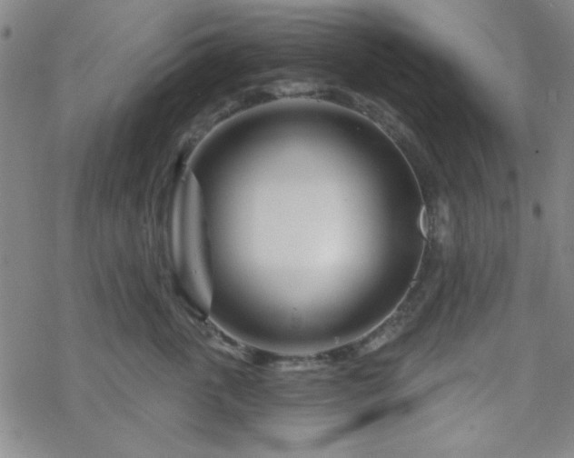 X0000070180763200606021032