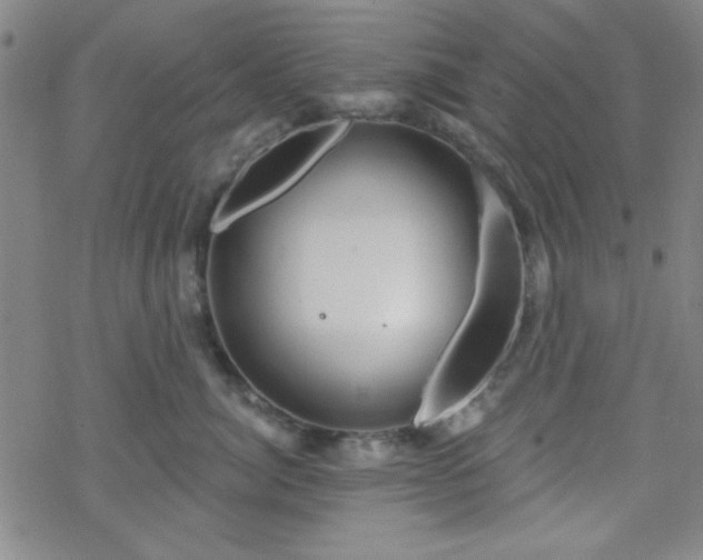 X0000070180764200606021032