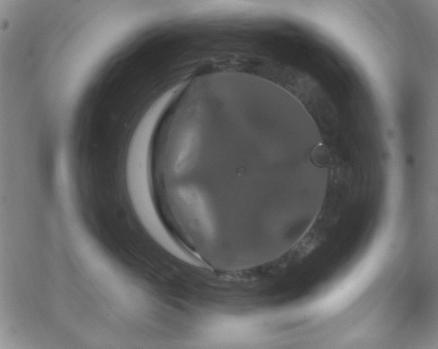 X0000070180765200606021032