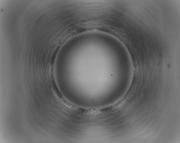 X0000070180767200606021032