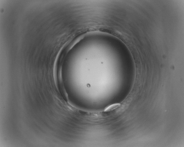 X0000070180768200606021032