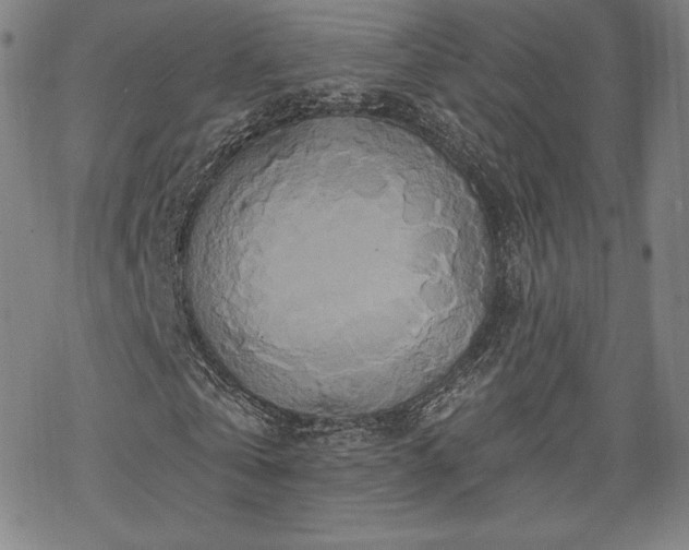 X0000070180769200606021031