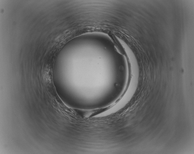 X0000070180770200606021031