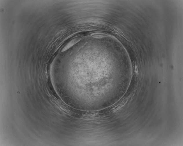 X0000070180771200606021031