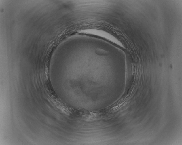 X0000070180772200606021031