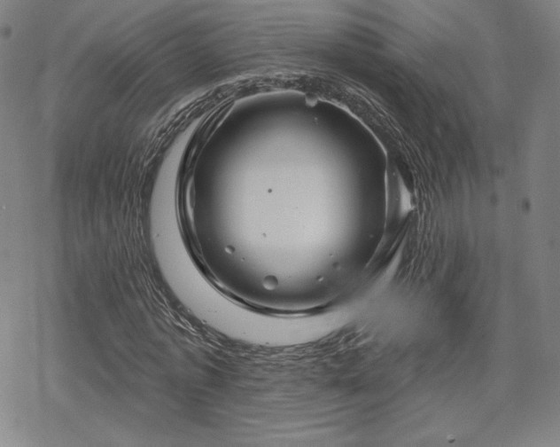 X0000070180773200606021031