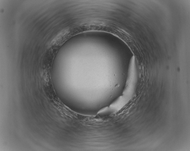 X0000070180774200606021031