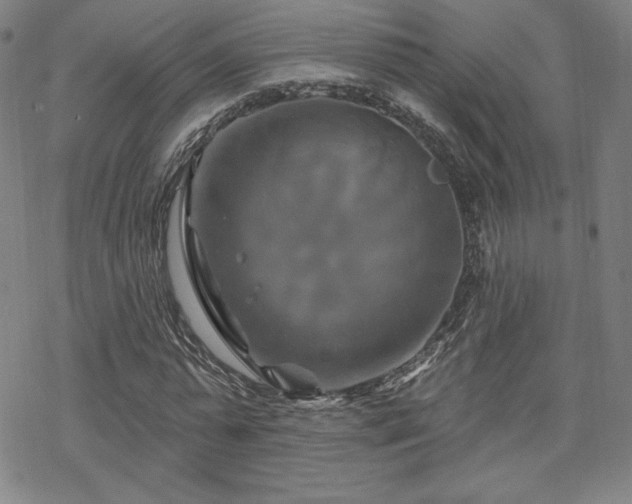 X0000070180775200606021031