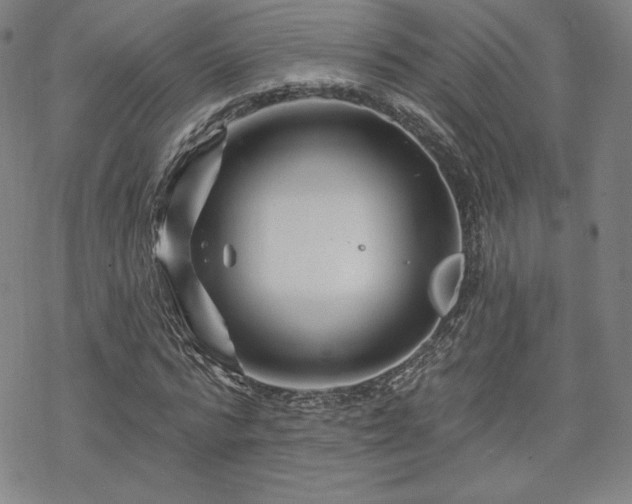 X0000070180776200606021031