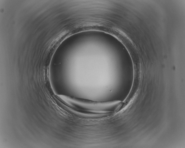 X0000070180777200606021031