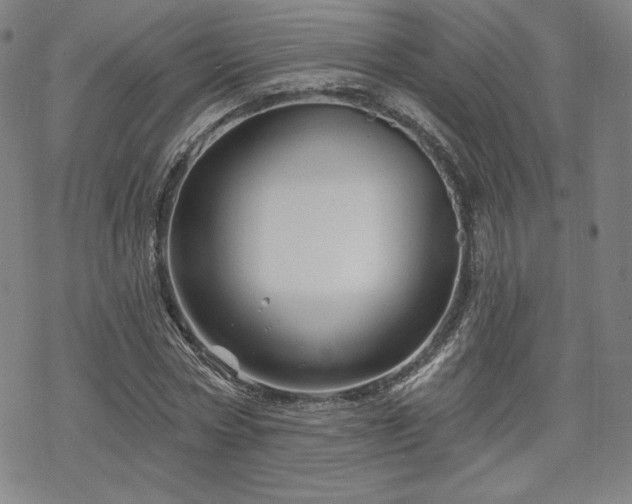 X0000070180778200606021031